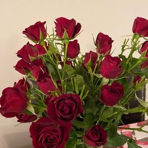 Meet your Posher, Riri